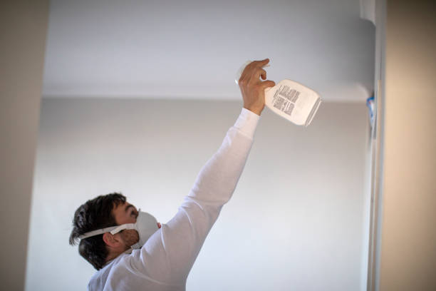 Best Localized Mold Remediation (e.g., coastal areas, humid climates) in Mosinee, WI